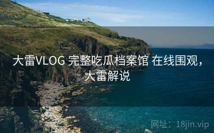大雷VLOG 完整吃瓜档案馆 在线围观，大雷解说