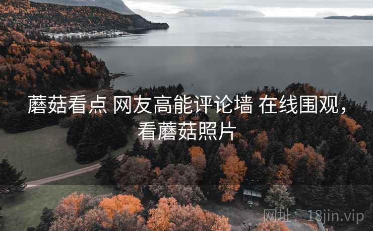 蘑菇看点 网友高能评论墙 在线围观,看蘑菇照片 蘑菇看点 网友高能评论墙 在线围观,看蘑菇照片