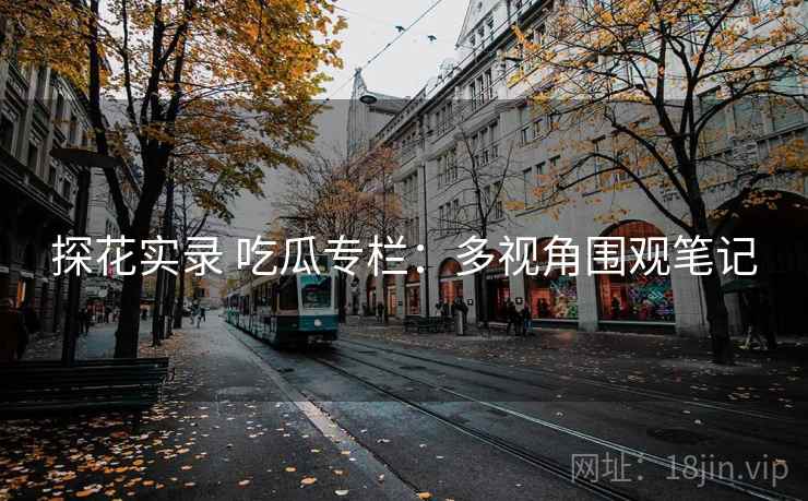探花实录 吃瓜专栏:多视角围观笔记 探花实录 吃瓜专栏:多视角围观笔记