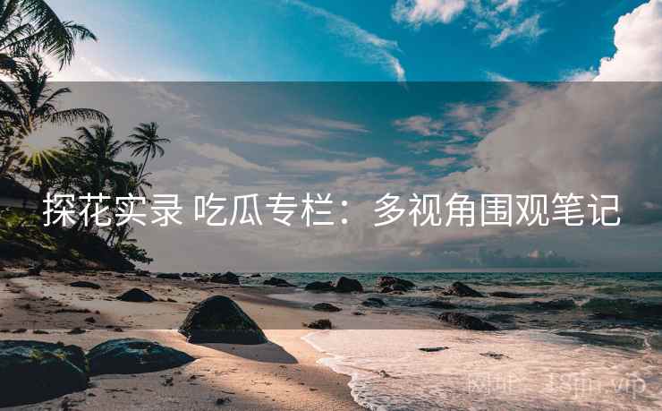 探花实录 吃瓜专栏:多视角围观笔记 探花实录 吃瓜专栏:多视角围观笔记