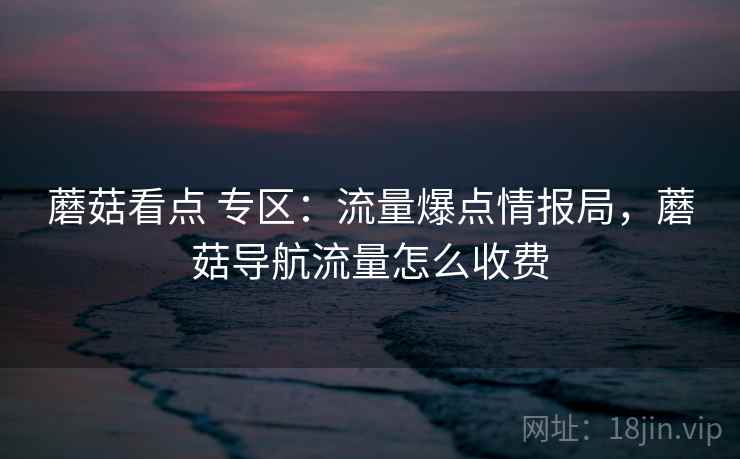 蘑菇看点 专区:流量爆点情报局,蘑菇导航流量怎么收费 蘑菇看点 专区:流量爆点情报局,蘑菇导航流量怎么收费