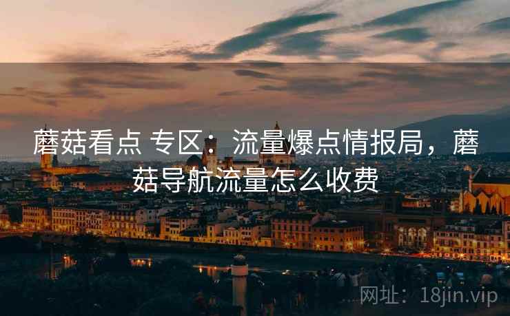 蘑菇看点 专区：流量爆点情报局，蘑菇导航流量怎么收费