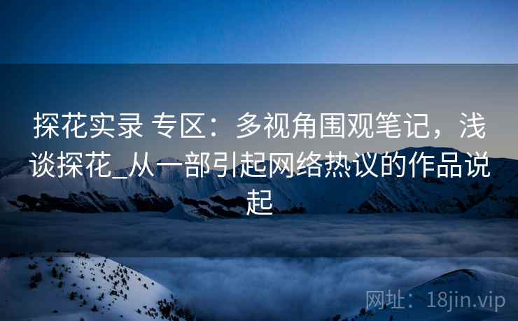 探花实录 专区:多视角围观笔记,浅谈探花_从一部引起网络热议的作品说起 探花实录 专区:多视角围观笔记,浅谈探花_从一部引起网络热议的作品说起